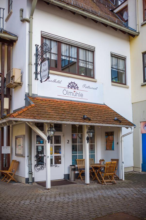 Landhotel Oelmuehle Mombris エクステリア 写真